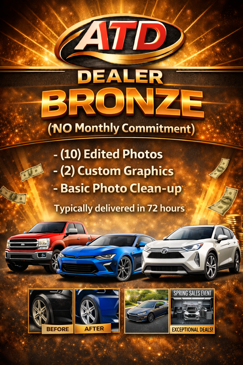 Dealer Bronze Package ($500/month)
